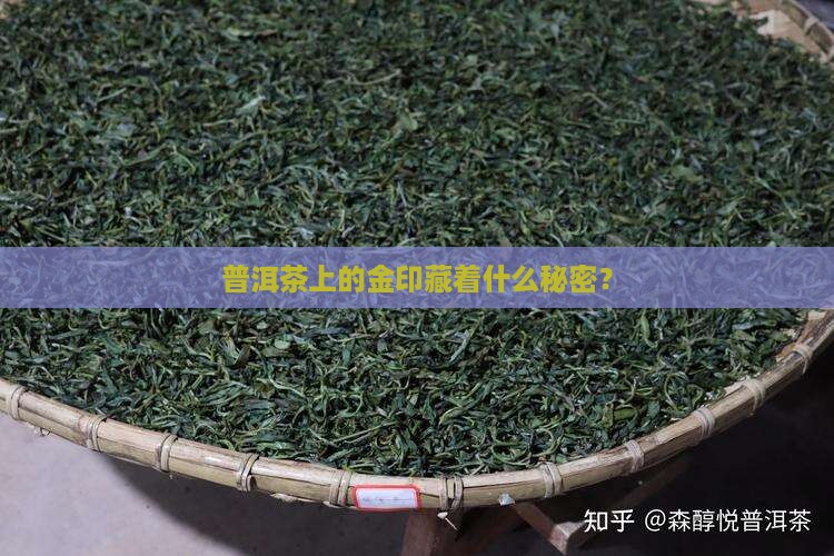 普洱茶金印什么意思呀