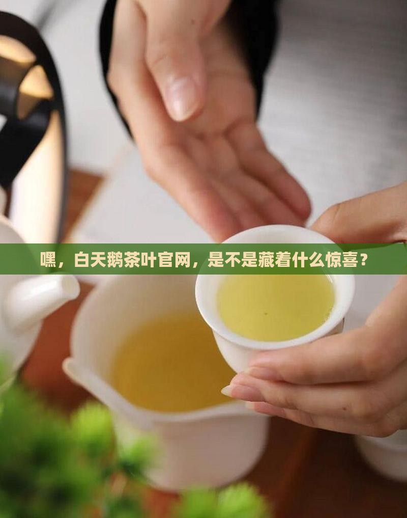 白天鹅茶叶官网