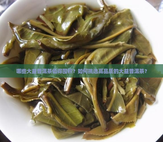 值得屯的大益普洱茶