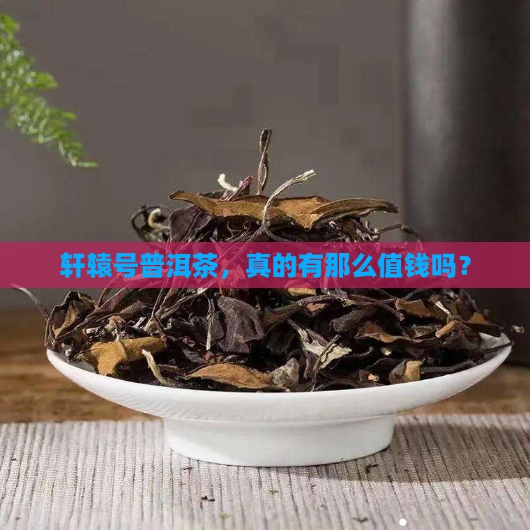 轩辕号普洱茶值钱吗