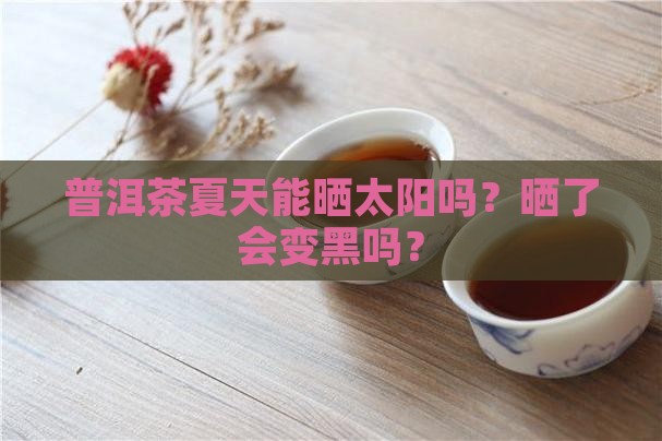 普洱茶夏天可以晒吗