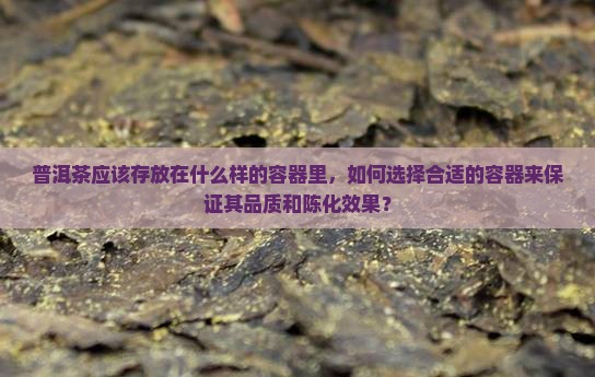 普洱茶适合存放在什么容器
