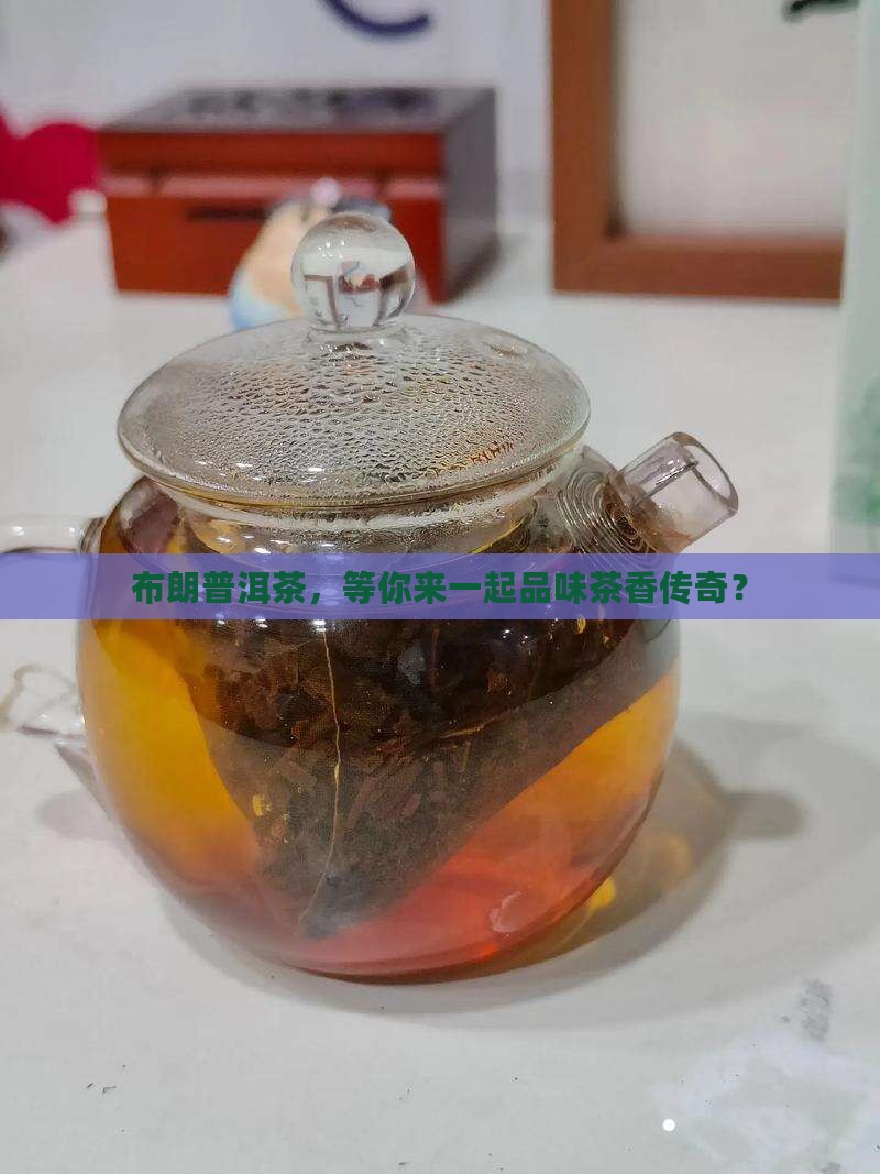 布朗普洱茶品牌招商