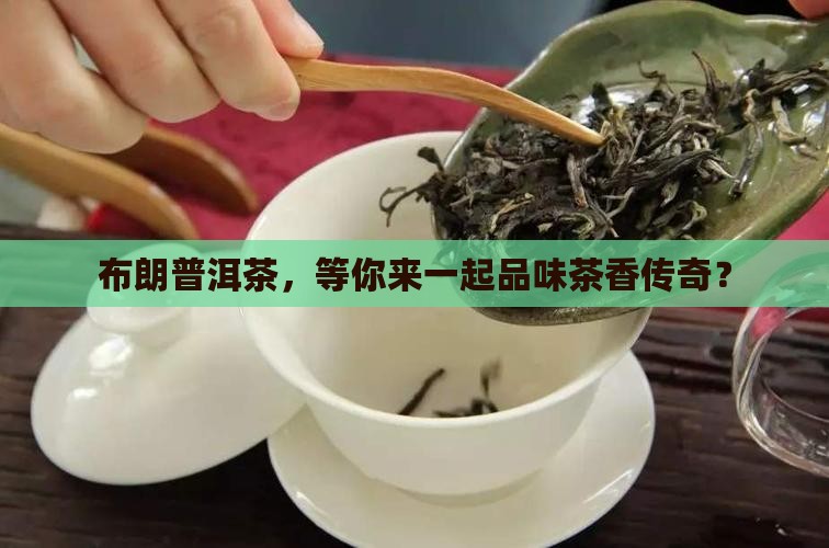 布朗普洱茶品牌招商