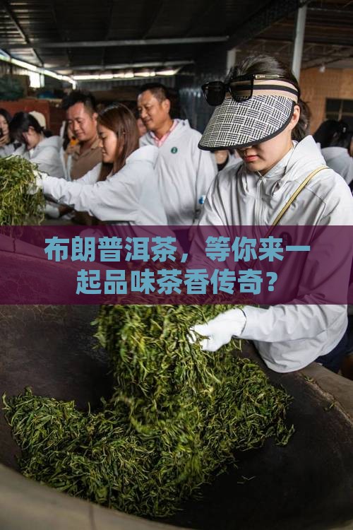 布朗普洱茶品牌招商