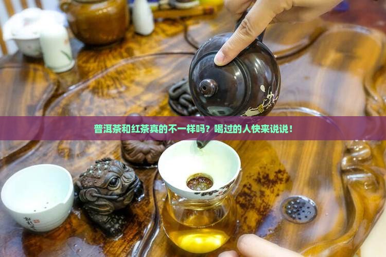 普洱茶跟红茶有区别吗百科