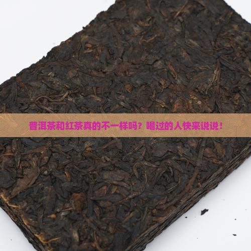 普洱茶跟红茶有区别吗百科
