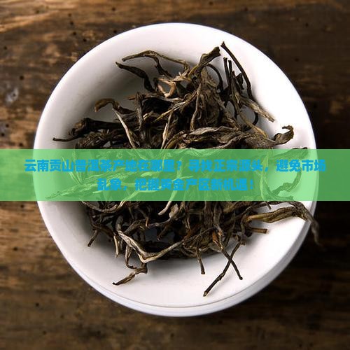 云南贡山普洱茶产地在哪里