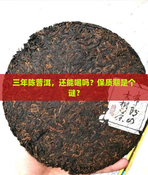 三年陈普洱茶的保质期多久