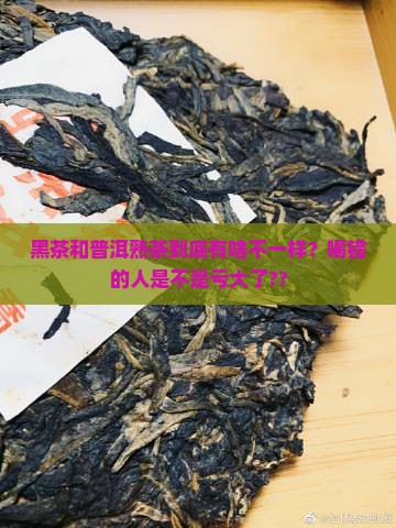 黑茶与普洱熟茶的区别