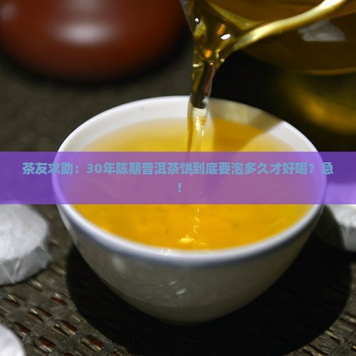 普洱茶饼泡的时间
