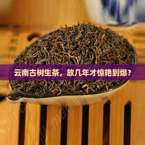 云南古树生茶放几年好