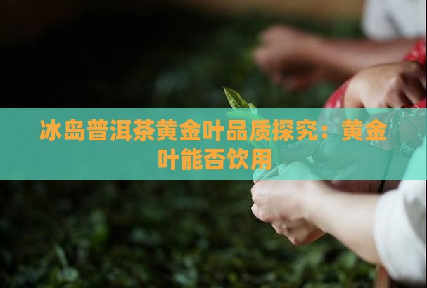 冰岛茶黄叶能喝吗