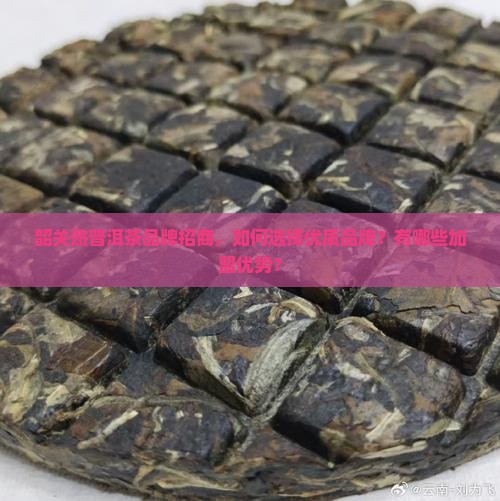 韶关熟普洱茶品牌招商 韶关熟普洱茶品牌招商