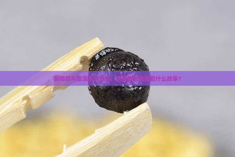 吴锡辉与普洱茶大白菜