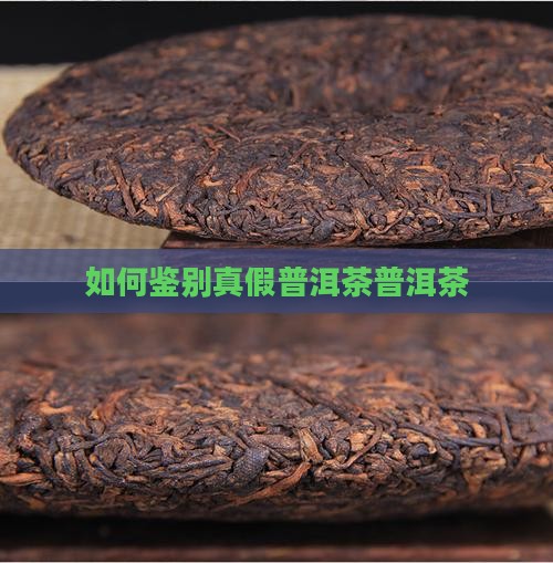 如何分辨真假正品普洱茶