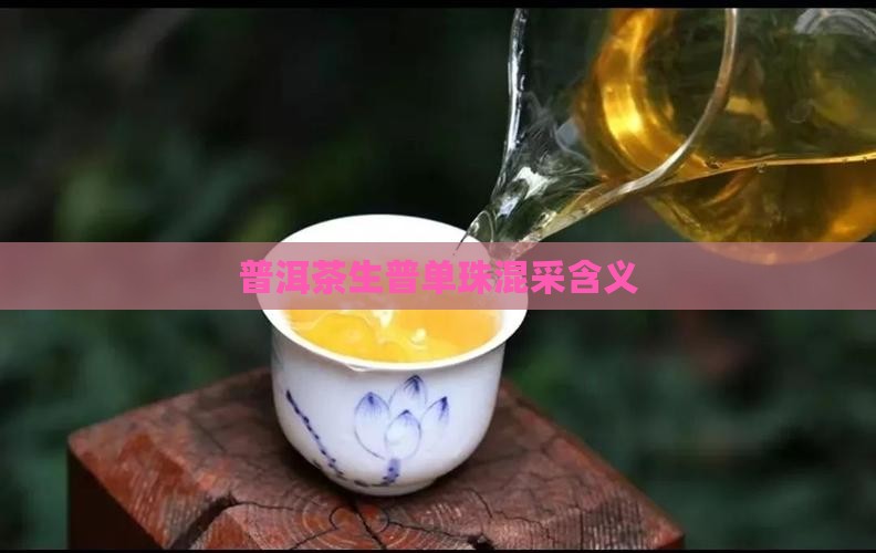 普洱茶生普单珠