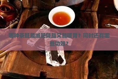 什么茶有减肥降脂暖胃的功能
