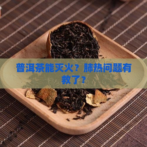 肺热可喝普洱茶吗