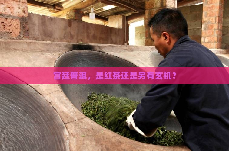 宫廷普洱茶红茶吗