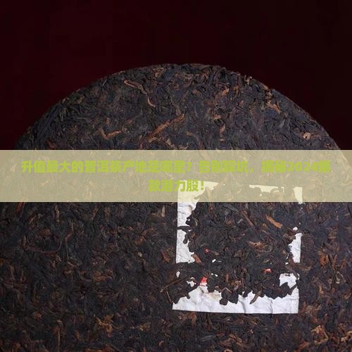 升值最大的普洱茶产地