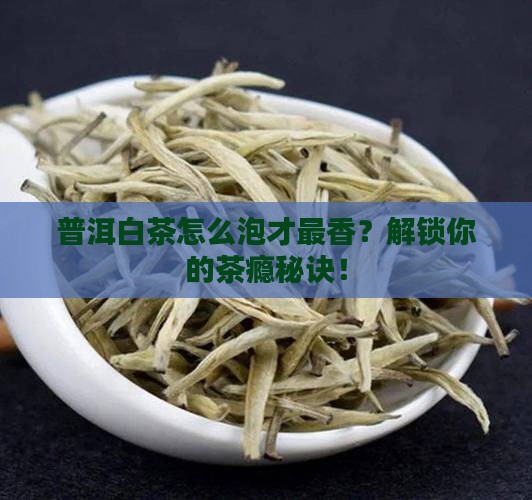 普洱茶和白茶怎么泡着好