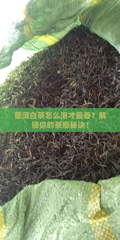 普洱茶和白茶怎么泡着好