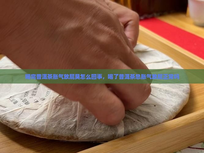 喝完普洱茶胀气放屁臭怎么回事