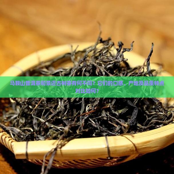 马鞍山普洱茶与景迈的区别
