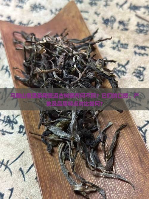 马鞍山普洱茶与景迈的区别