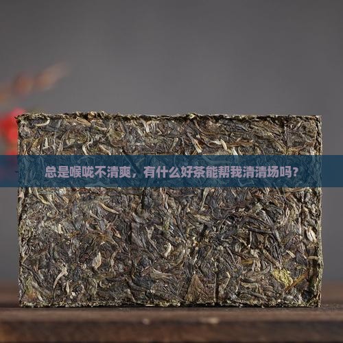 平时痰多喝什么茶好