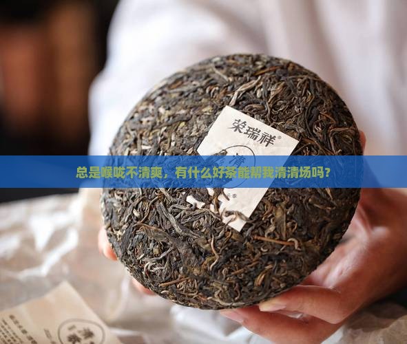 平时痰多喝什么茶好