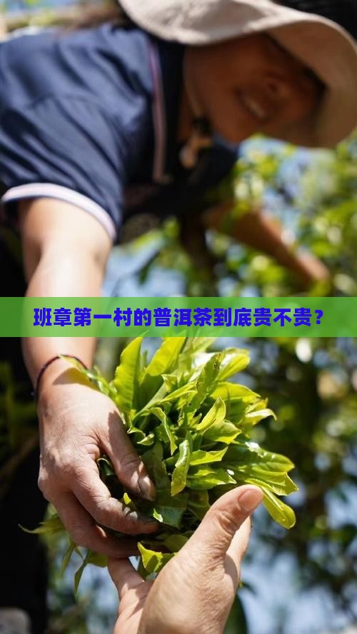 班章第一村普洱茶价格 班章第一村普洱茶价格