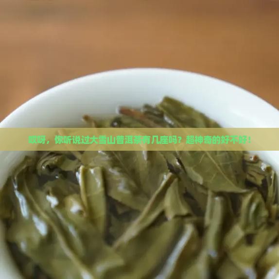 有几个大雪山普洱茶