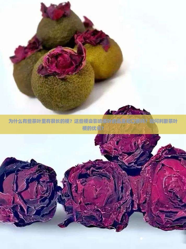 为什么有的茶叶里有很长的梗