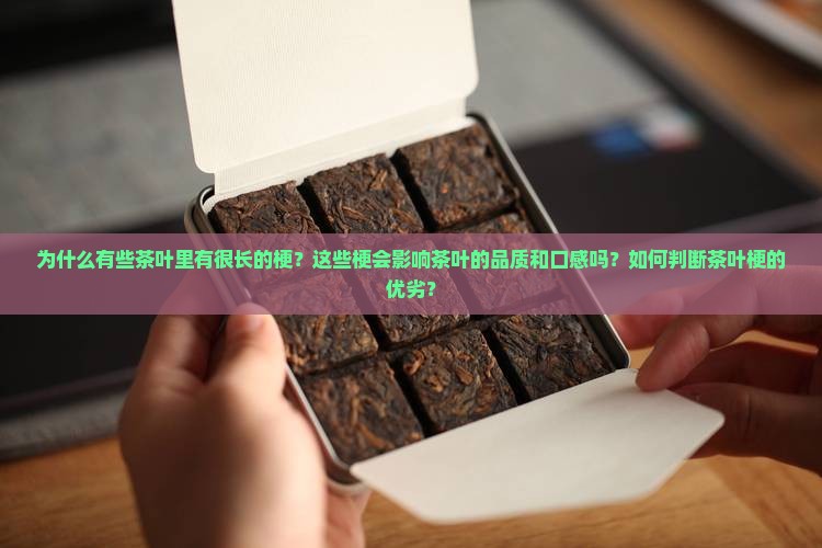 为什么有的茶叶里有很长的梗