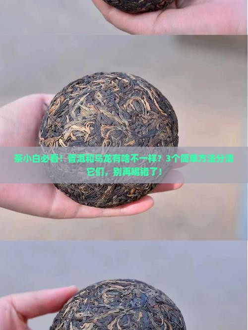 普洱茶乌龙茶什么区别