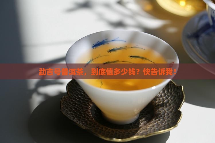 勐吉号普洱茶价格怎么样