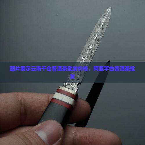 干仓普洱茶批发