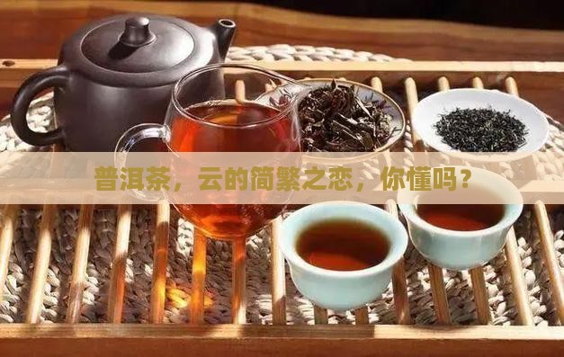 普洱茶简体云和繁体云