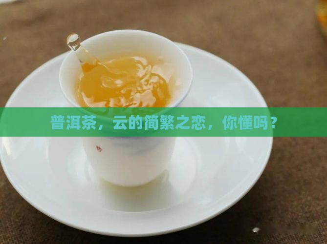 普洱茶简体云和繁体云