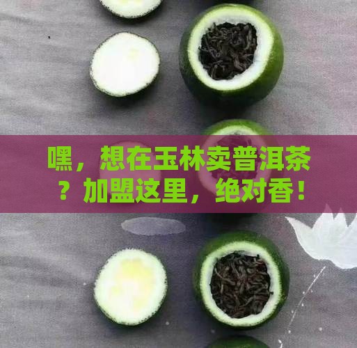 玉林普洱茶招商加盟官网