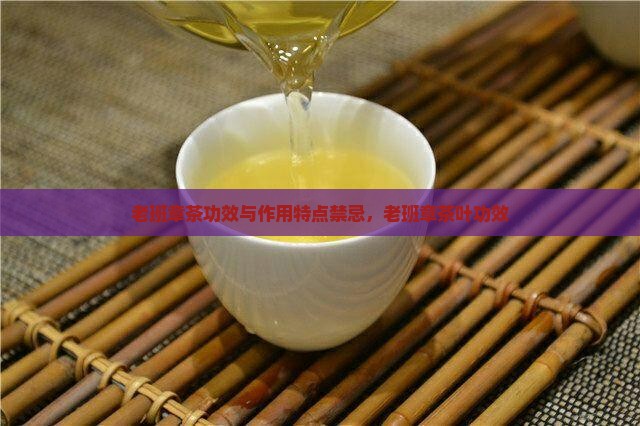 老班章茶功效与作用
