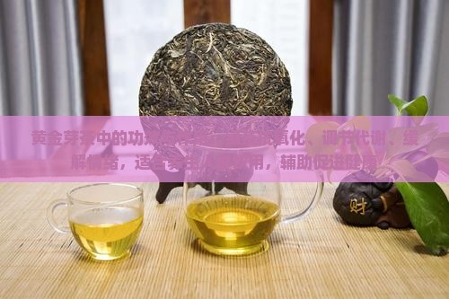黄金芽茶的功效与作用
