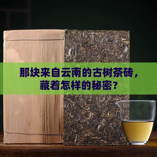 古树茶砖云南普洱茶