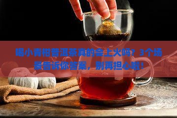 小青柑普洱茶会不会上火