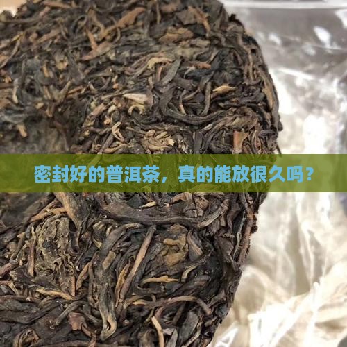 密封普洱茶保质期