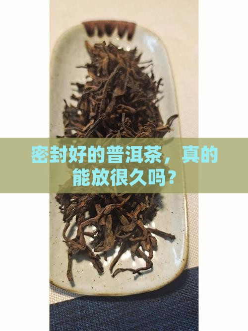 密封普洱茶保质期