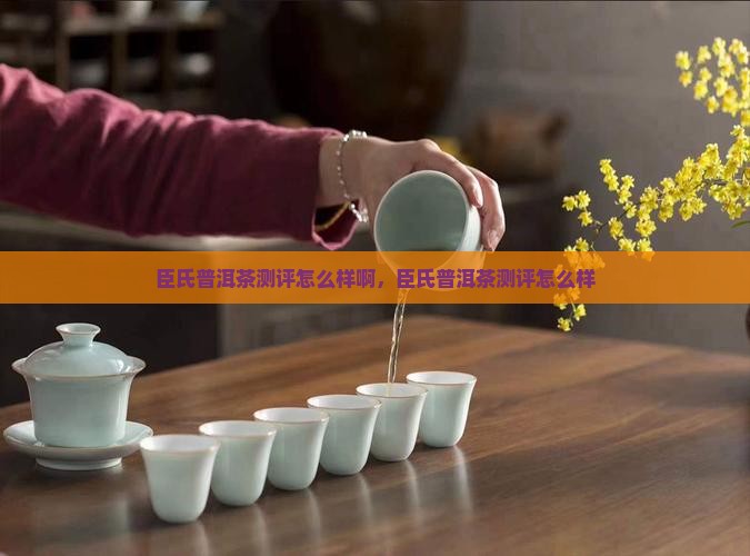 臣氏普洱茶测评怎么样