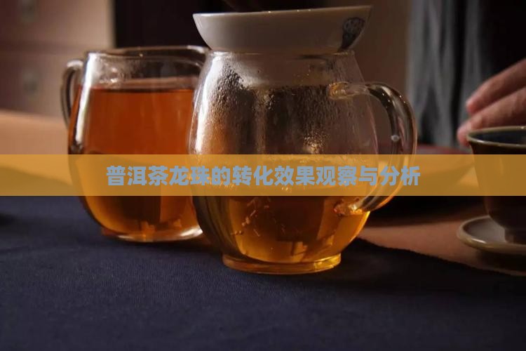普洱茶龙珠转化效果